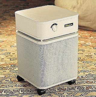 Do You Have an Air Purifier?